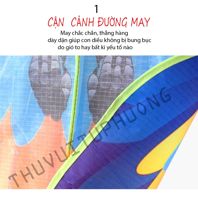 DIỀU VẸT-DIỀU HÌNH CON VẸT