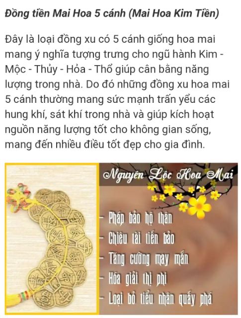 Đồng tiền xu. Mai Hoa Kim tiền .vật phẩm Phong Thủy .hút tài lộc. | BigBuy360 - bigbuy360.vn