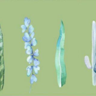 Bộ 30 Bookmark Hình Hoa (4.2 x 15 cm)