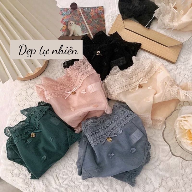 Quần lót cạp cao ren mỏng thêu nổi dòng Extrasoft  BRABOX - QC64