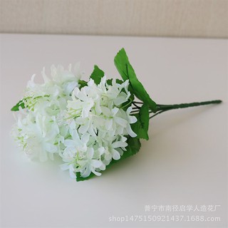 Hoa bèo tây màu trắng