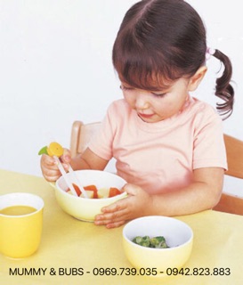 ĐŨA TẬP ĂN CÓ HỘP COMBI