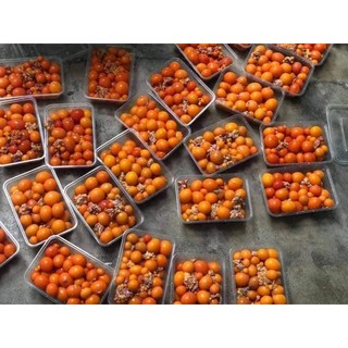 TRỨNG GÀ NON ( 500gram )