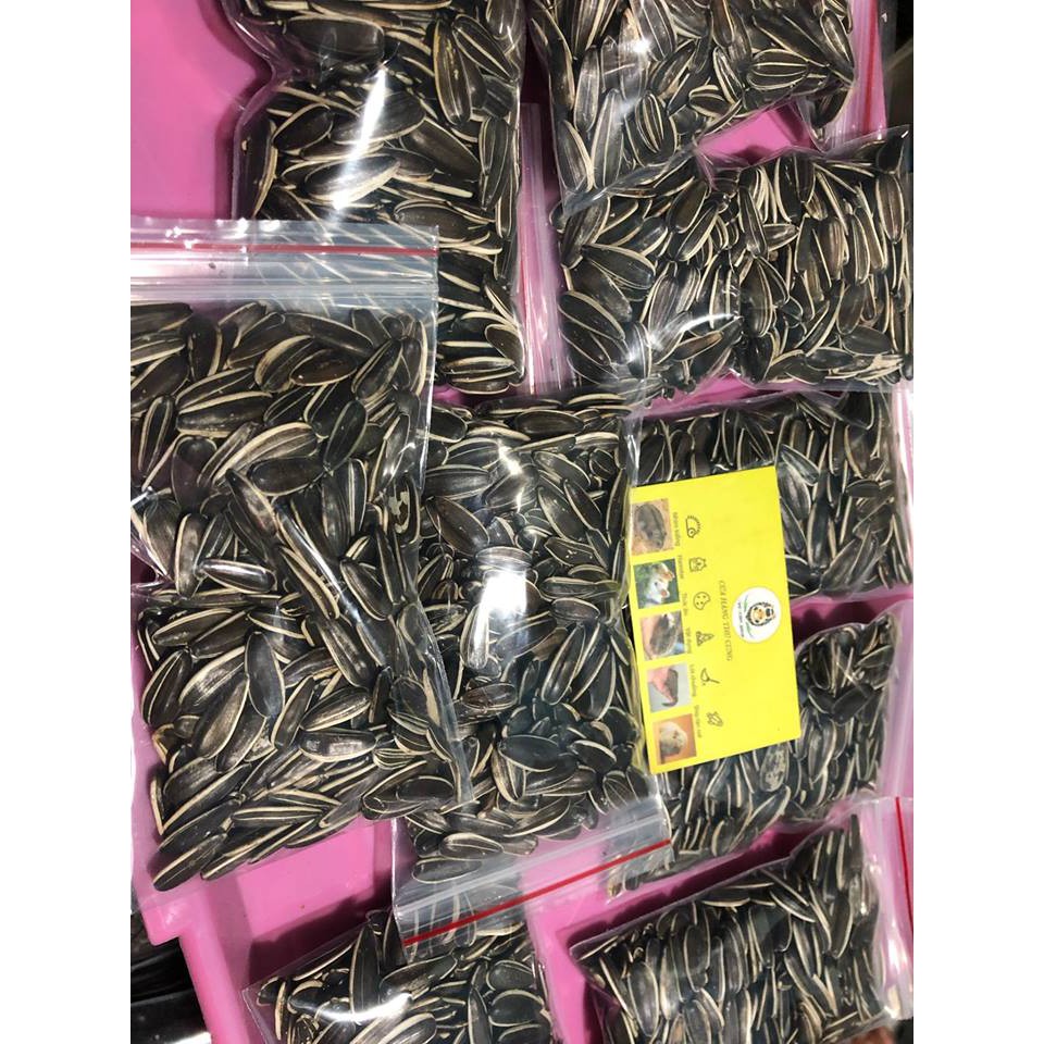 Hạt hướng dương lớn tươi ngon cho hamster ,sóc .