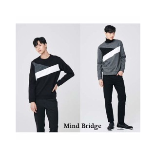 Mind Bridge