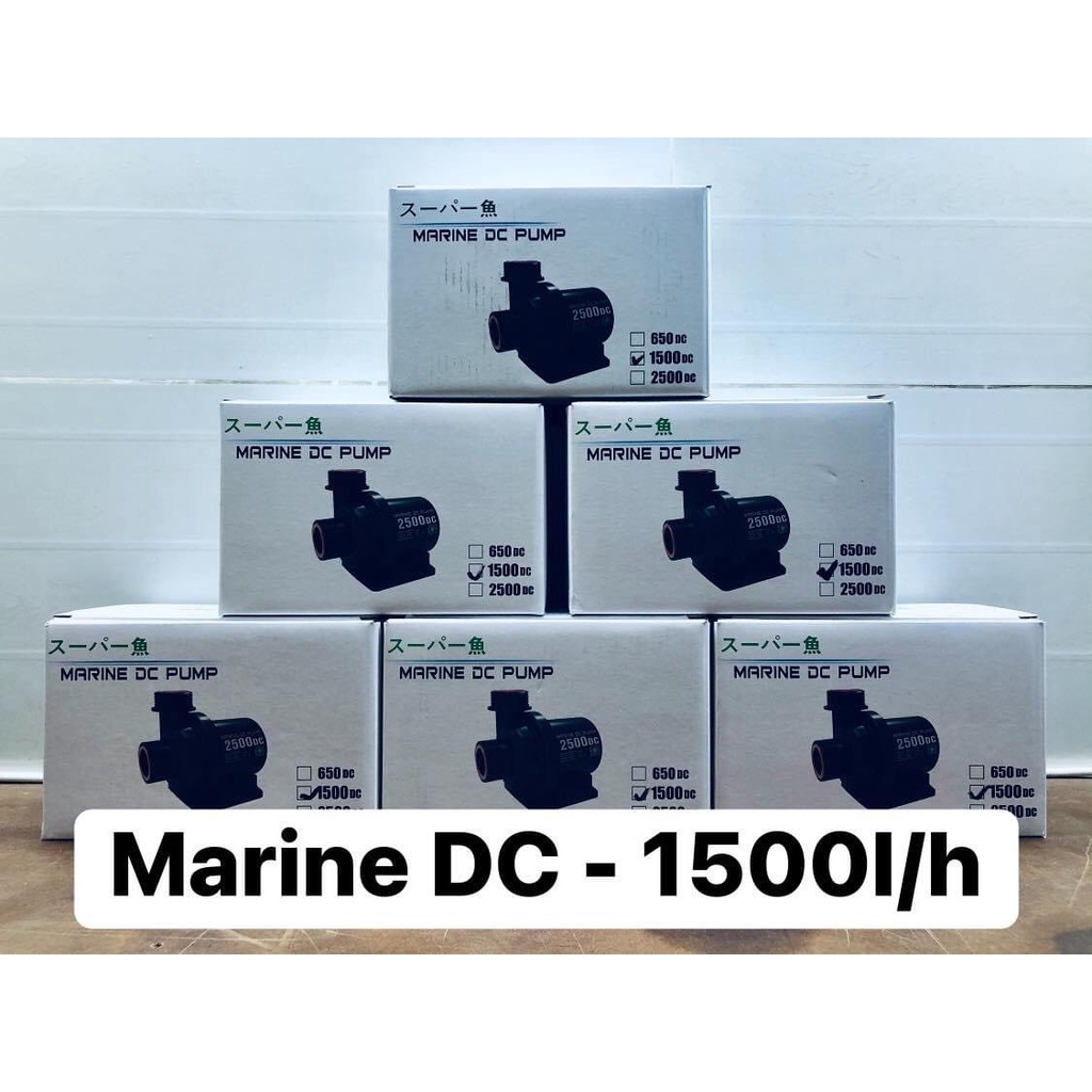 Máy bơm nước chống giật Marine DC 650-1500-2500-4000