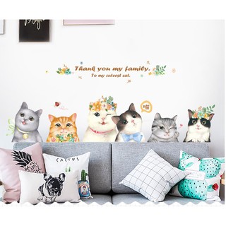 decal dán tường chất lượng Hàn mẫu những chú mèo đáng yêu