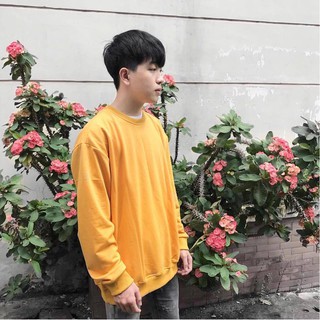 ÁO Sweater Trơn