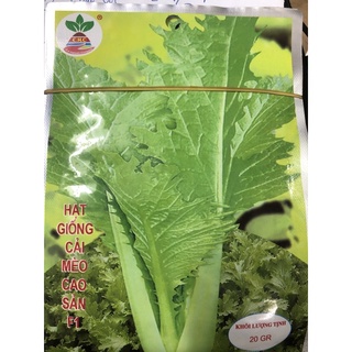 Hạt giống cải mèo 20 gr ☘️