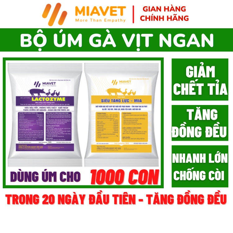 Bộ Úm Gà-Vịt-Ngan Cho 1000 Con, Tăng Đồng Đều, Nâng Cao Sức Đề Kháng, Nhanh Lớn. Nâng Cao Năng Suất Gà-Vịt-Ngan con