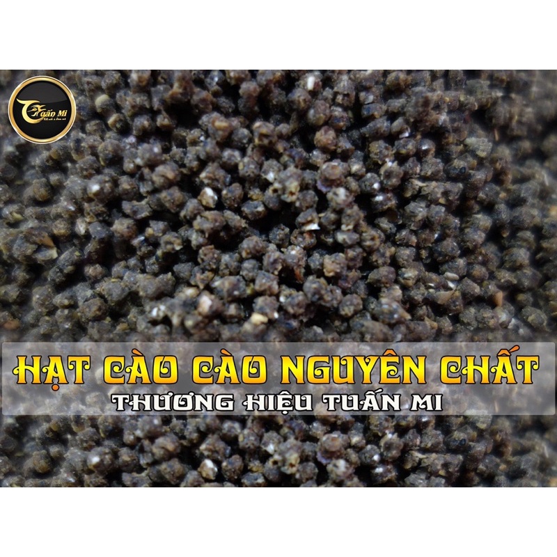 HẠT CÔN TRÙNG DÀNH CHO MI- MÀO- CHOÈ- KHƯỚU