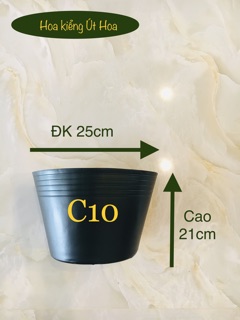 Combo  800 chậu C6 + 100 chậu C10