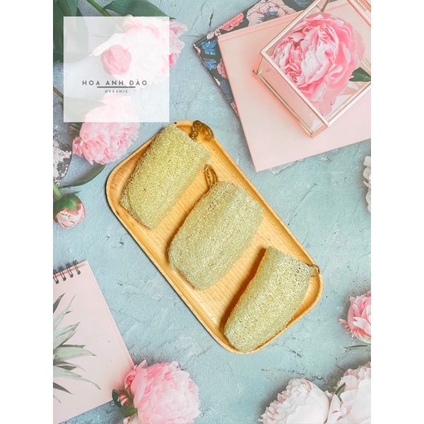 Bông Tắm Xơ Mướp Handmade Organic không chất tẩy Yincos