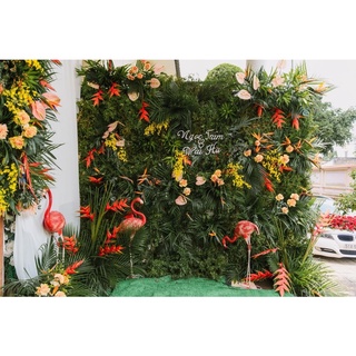 Bộ Decor Hồng Hạc Trang Trí