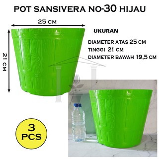 Bộ 3 lọ trồng cây xanh Sansivera-30