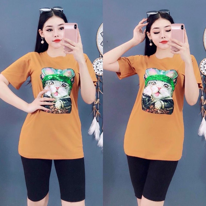 SÉT BỘ THỜI TRANG MÈO KIM SA -SB51