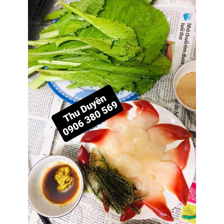 SÒ ĐỎ HOKKIGAI NHẬT BẢN hiệu NISSI / MÓN ĂN SASHIMI