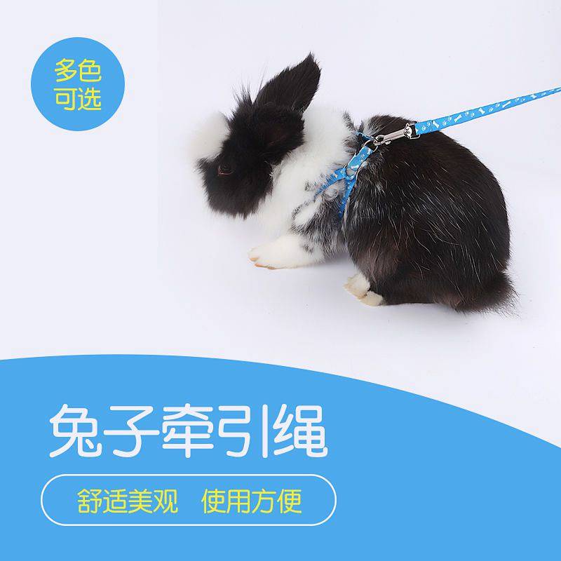 Dây thắt lỏng chống đứt dắt đi bộ tiện lợi dành cho thú cưng động vật nhỏ totoro chuột lang thỏ