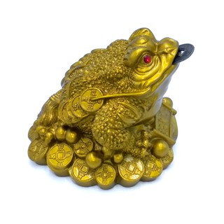 Cóc vàng mạ đồng 7 cm