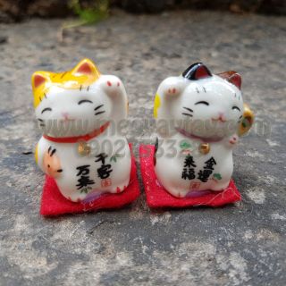 Cặp mèo mini làm theo hình tượng 2 vị thần của Nhật Bản