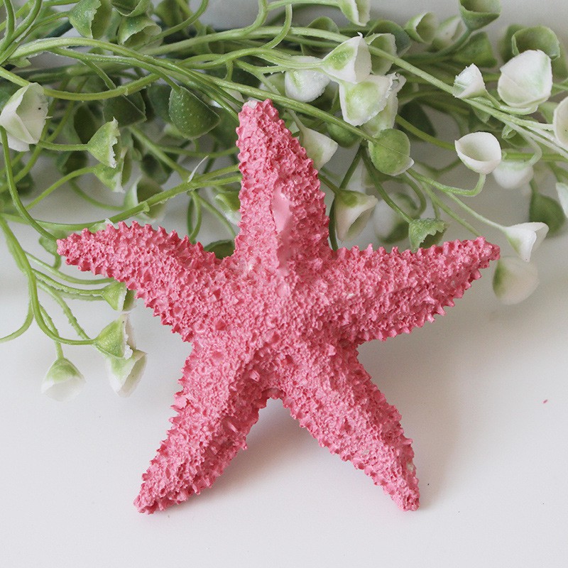 Mô hình sao biển trang trí size 8cm thân dày  - Decor đồ trang trí theo phong cách biển Địa Trung Hải