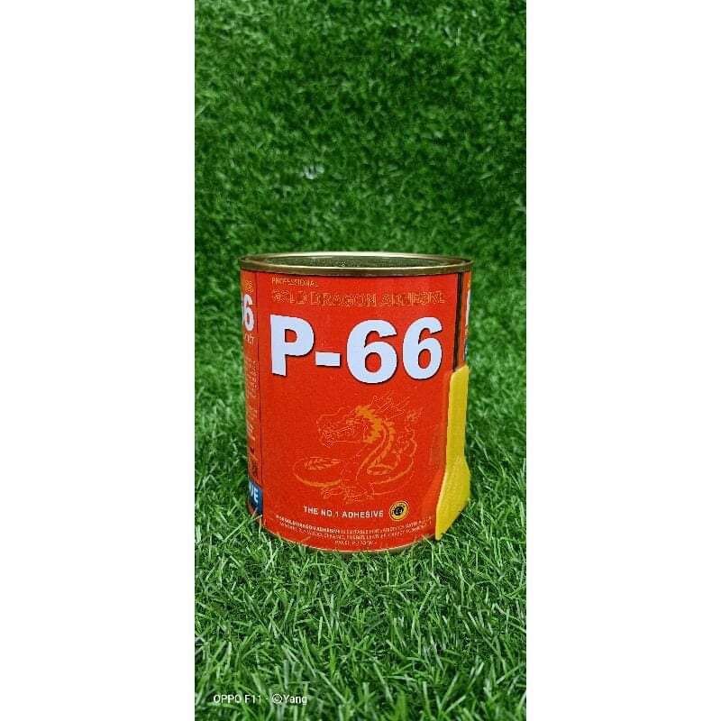 Keo dán giày dán da rồng vàng p66