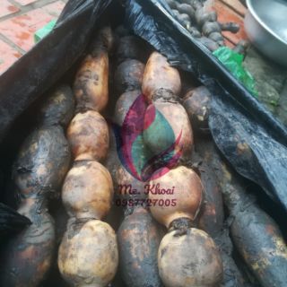 Trà củ sen (300g)