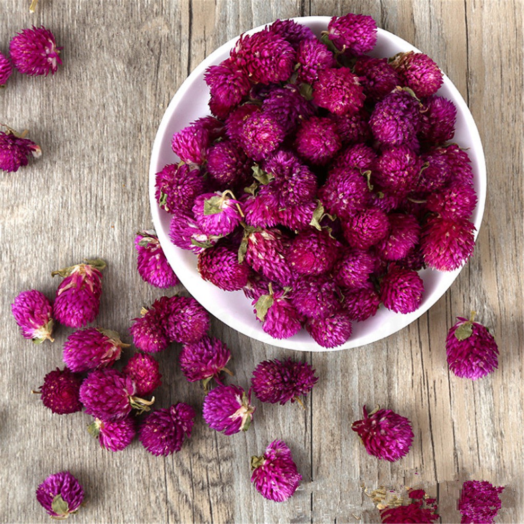 Trà cúc bách nhật tím | BigBuy360 - bigbuy360.vn