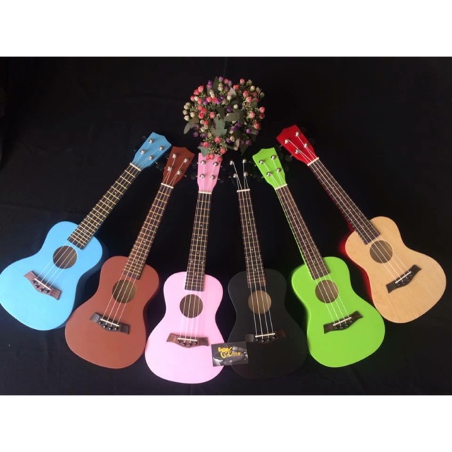 Đàn ukulele concert