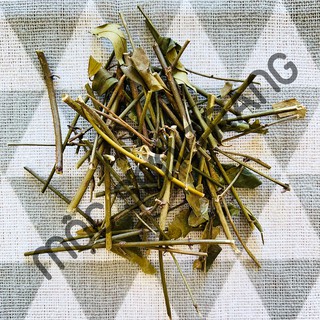 [Túi 500gram] Trà Chè Vằng Sẻ Cao Cấp (Mộc Sơn Trang)