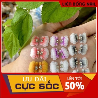 hoa cúc tròn- hoa bột nail