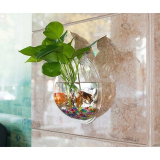 Combo 3 chiếc bể cá mini treo tường nhựa thủy tinh size 23cm