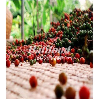 MUỐI HỒNG TIÊU PHÚ QUỐC