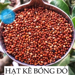 1kg Hạt kê bóng đỏ ( Kê đỏ hạt to) cho Chim, Vẹt, Hamster...