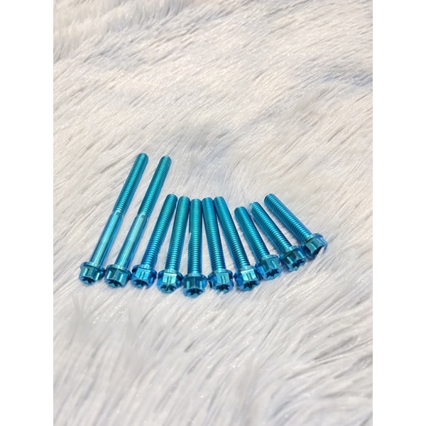 Ốc Titan Gr5 Lốc Nồi Bộ 10 Con Cho Vario 2017-2020