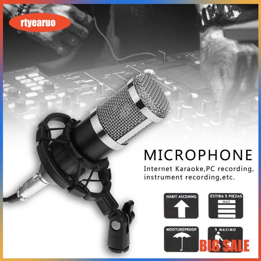 Bộ Micro Thu Âm Bm800 Chuyên Nghiệp