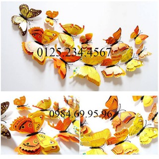 Decal dán tường BƯỚM 3D 4 cánh SIÊU XINH màu vàng