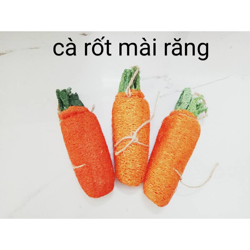 Cà rốt xơ mướp mài răng cho thỏ,hamster, bọ, sóc,...