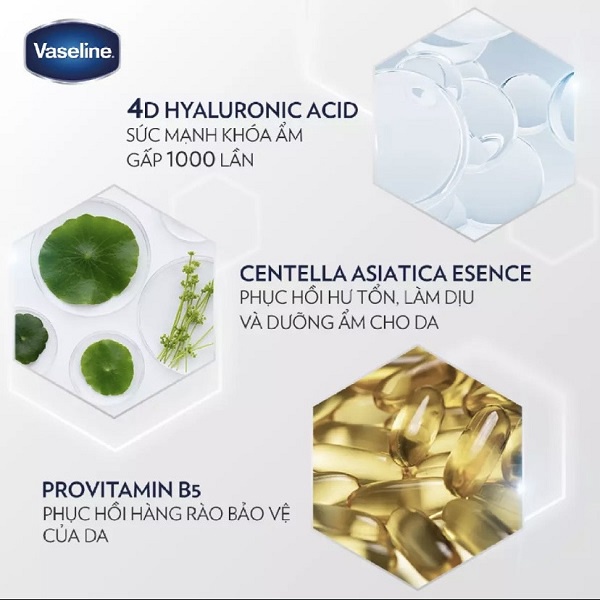 Dưỡng Thể Vaseline Pro Derma 250ml Giúp Cấp Ẩm Đều Màu Sáng Da Căng Mịn Từ Hoạt Chất  5% Niacinamide , 4D HA, 5% AHA Vas