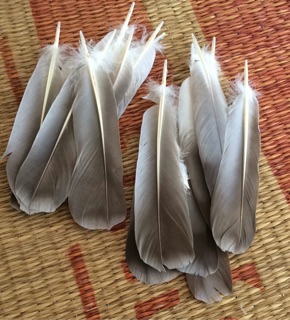 Lông vũ làm dreamcatcher