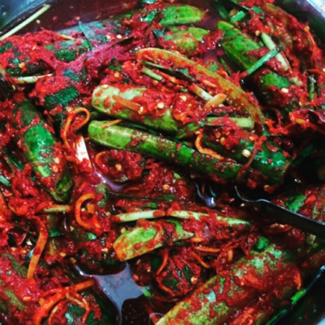 500g Kim chi dưa leo lên men với mật ong giòn cay