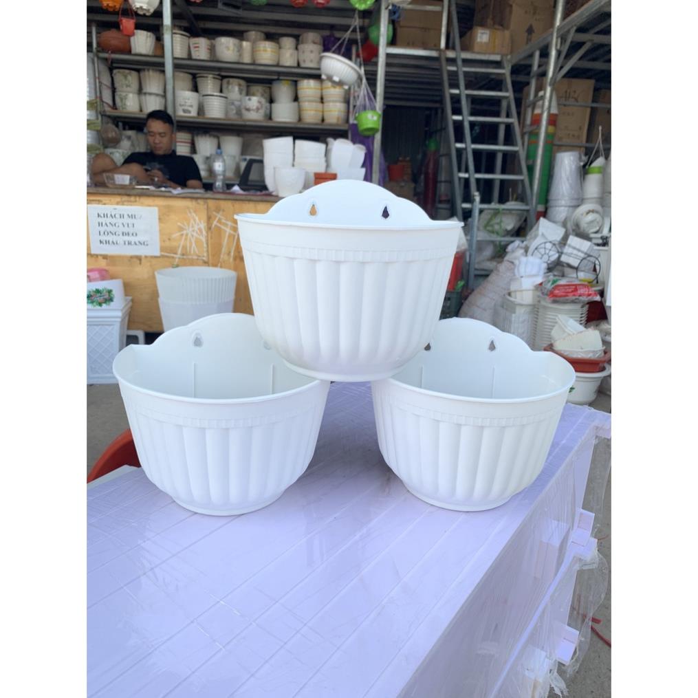 chậu ốp tường vân sọc hàng dày đẹp và có sẵn ạ