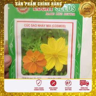 Hạt Giống Hoa Cúc Sao Nháy mix(100 hạt)