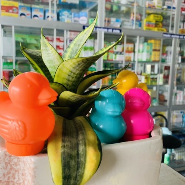 Kẹo C vịt, kẹo C con thú | Thế Giới Skin Care