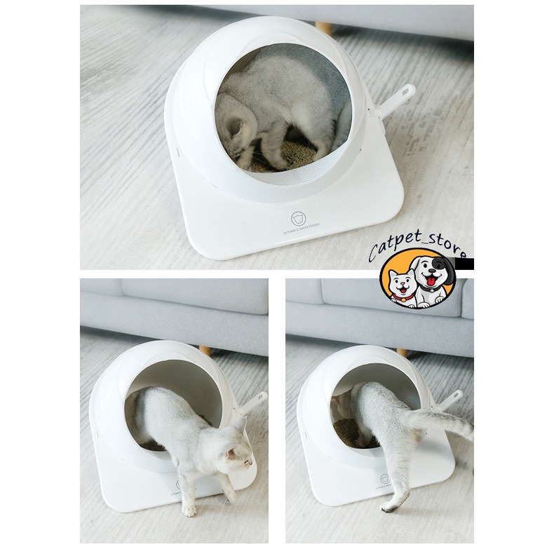 Bồn vệ sinh chó mèo hình cầu, bồn vệ sinh thú cưng hình cầu