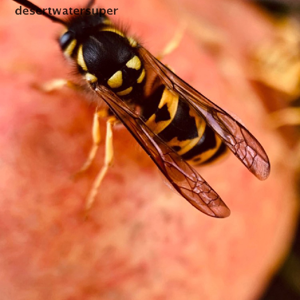 Ống kính Macro 20X cho điện thoại