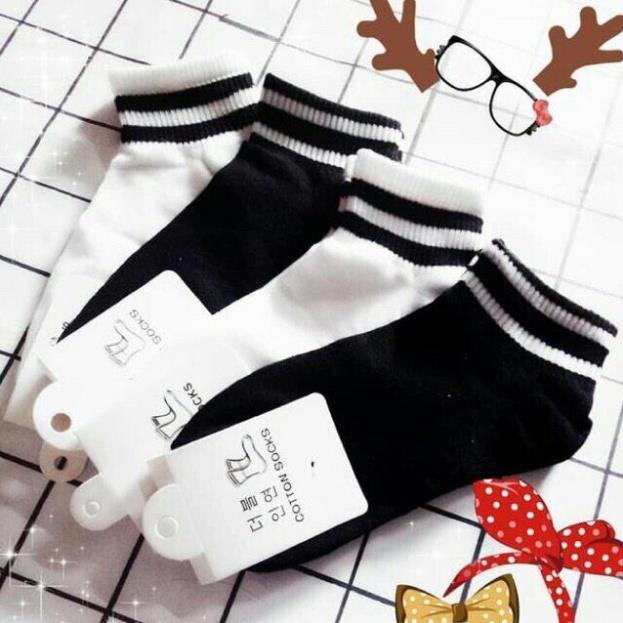 [Giá sỉ] Set 10 Đôi Tất Cotton Cổ Kẻ Hàn Quốc