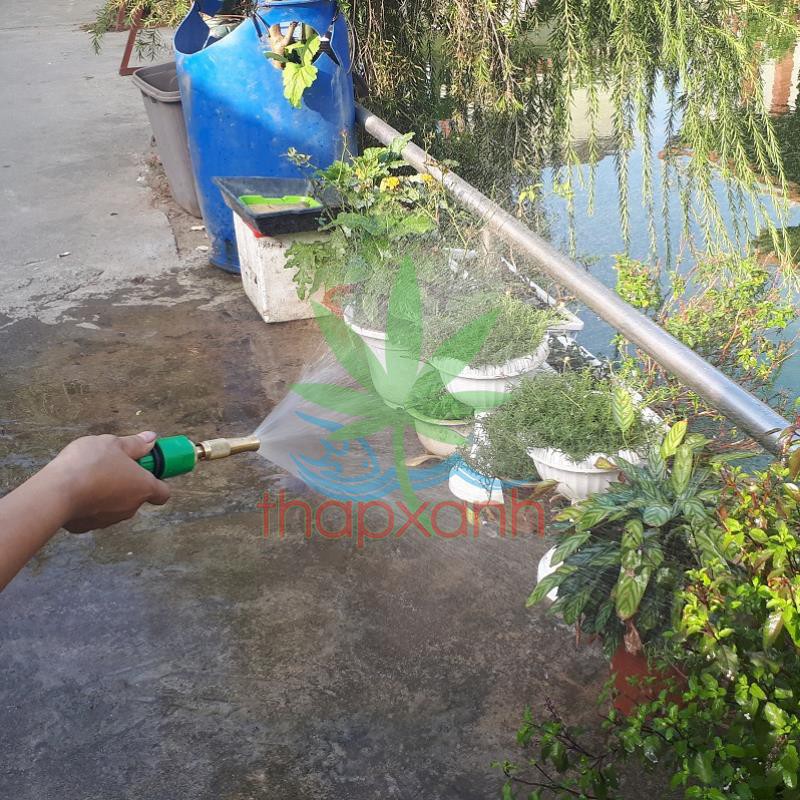 Bộ vòi xịt nước tưới cây, rửa xe bằng đồng chất lượng cao + 15m dây 8/11
