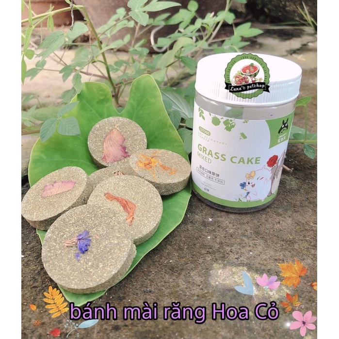 Bánh mài răng cỏ hoa. Mài răng jonsanty cho hamster/sóc/thỏ/bọ