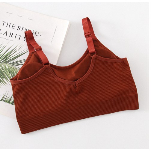 Áo bra gân tăm dây bản to cực xin